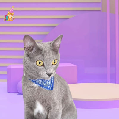 collier pour chat style bandana ™|Feline chic™