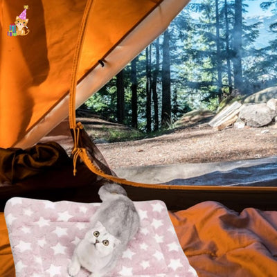 Coussin chat™ |warmy cat™