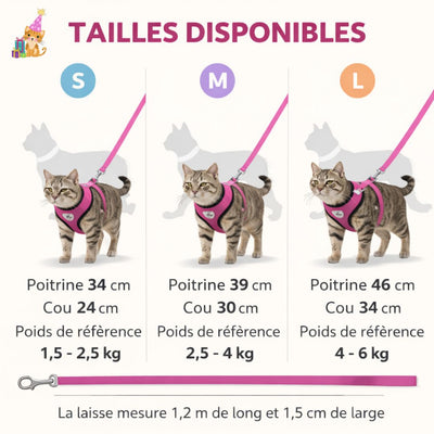 Harnais pour chat™|Confytoutou™| Confort Réfléchissant