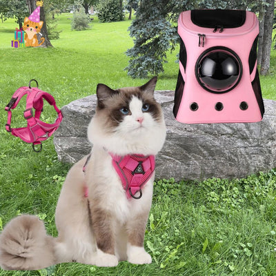harnais chat réfléchissant ™|Reflective cat harness ™ - {{ Chat Agréable }}