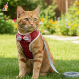 Harnais chat costume™|MiaouStyle™ | Confort Sécurisé