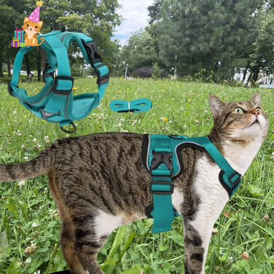 harnais chat réfléchissant ™|Reflective cat harness ™ - {{ Chat Agréable }}