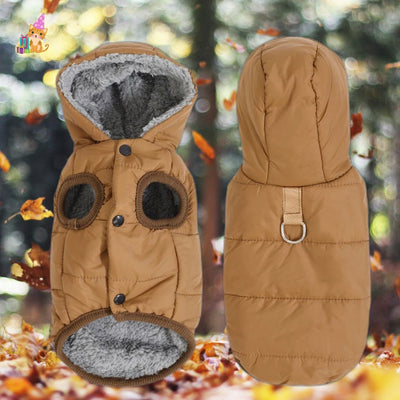 manteau chat™|MiaouTherm™