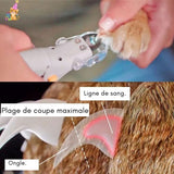 coupe griffe chat®| REVOLUT LED CLIPPING® - {{ Chat Agréable }}